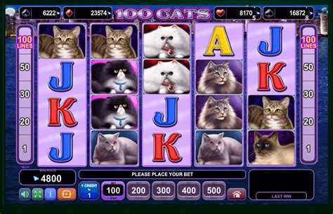 free slots 100 cats